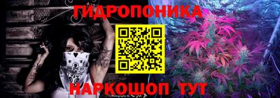 стаф Кунгур