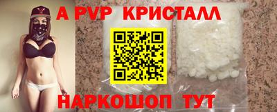 стаф Кунгур